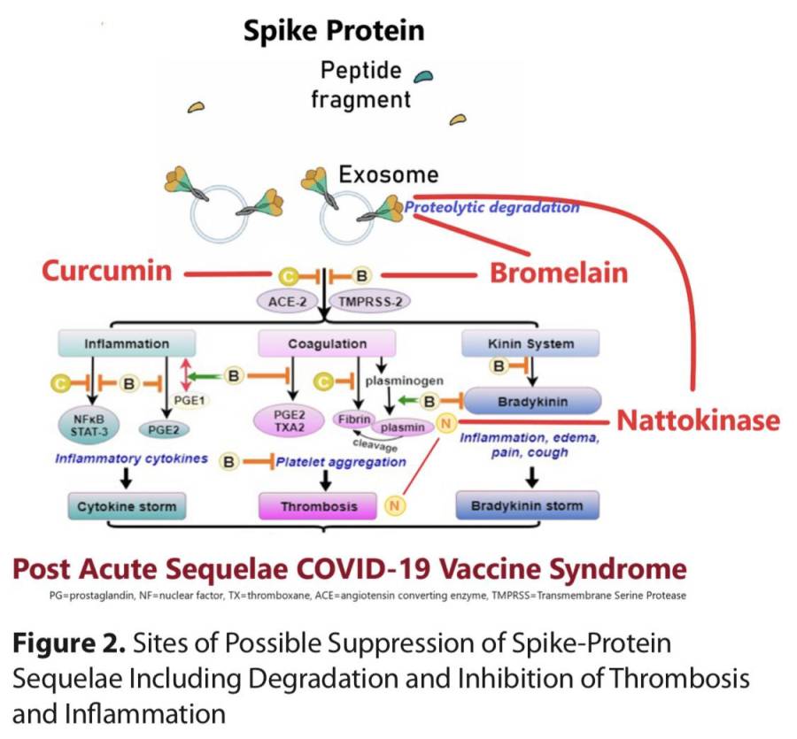effets-secondaires-injections-covid-curcumine-bromelaine.jpg effets-secondaires-injections-covid-curcumine-bromelaine.jpg