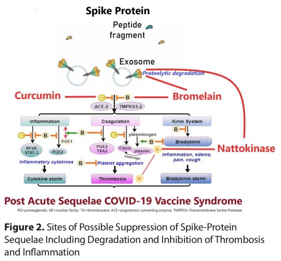 effets-secondaires-injections-covid-curcumine-bromelaine.jpg