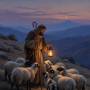 sagesses-bibliques-brebis.jpg
