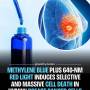 bleu-methylene-cancer.jpg