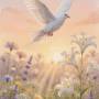 sagesse-biblique-oiseau.jpg